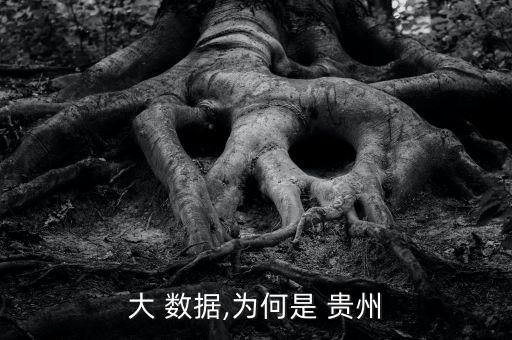 在貴州做大數據怎么樣,貴州大數據大為何么值得你關注