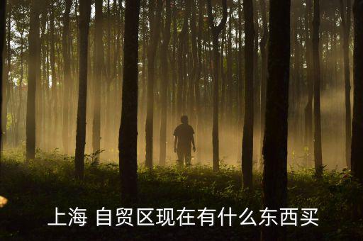  上海 自貿區現在有什么東西買