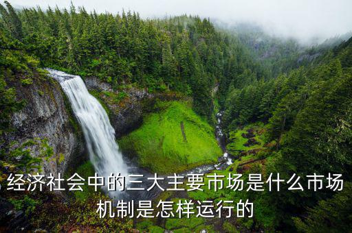 經濟學中的主要市場是什么，宏觀經濟學 兩大市場是什么