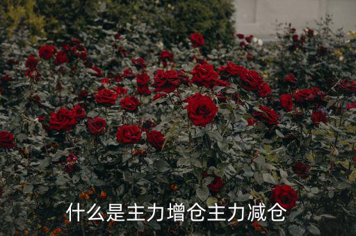 主力增減倉什么意思，什么是主力增倉主力減倉