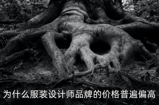 天貓原創設計師衣服為什么這么貴，設計師設計出的衣服是不是款式越特別好看賣的就越貴