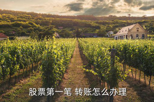 股票銀證轉賬怎么操作,股票第一次轉賬流程如下