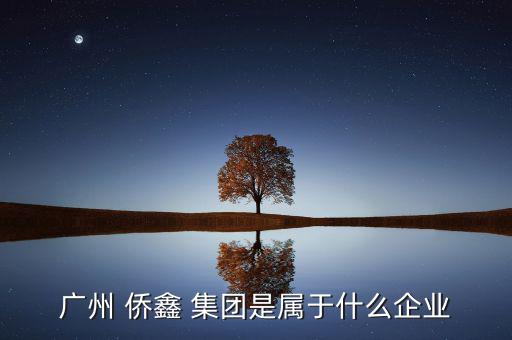 廣州 僑鑫 集團是屬于什么企業