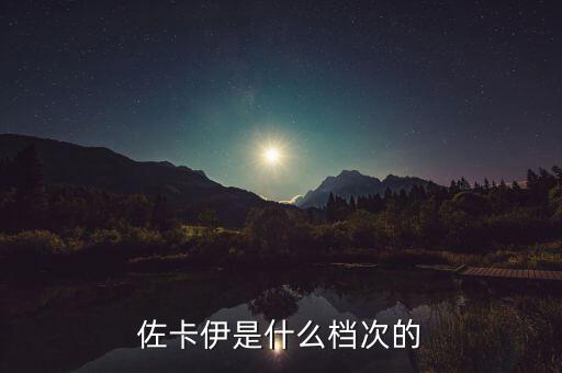 怎么進佐卡伊預約系統,政府將撥款超過5億元協助企業