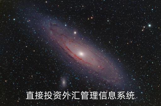 外資上什么傳到外管局應用平臺，直接投資外匯管理信息系統