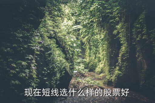現在短線選什么樣的股票好