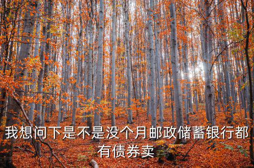 什么時(shí)候銀行承銷債券，政策性金融債承銷分銷流程