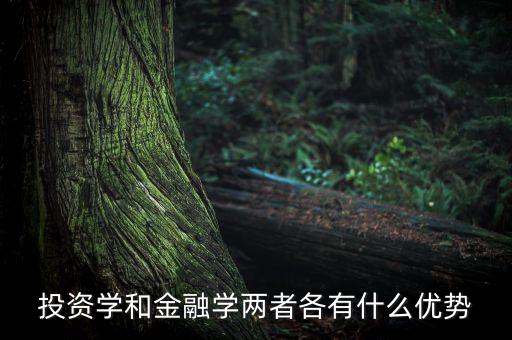 投資學有什么用，投資學和稅務學專業各自具體是學什么的以后就業前景及方
