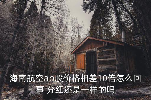 海航b股是什么意思，海南航空ab股價格相差10倍怎么回事 分紅還是一樣的嗎