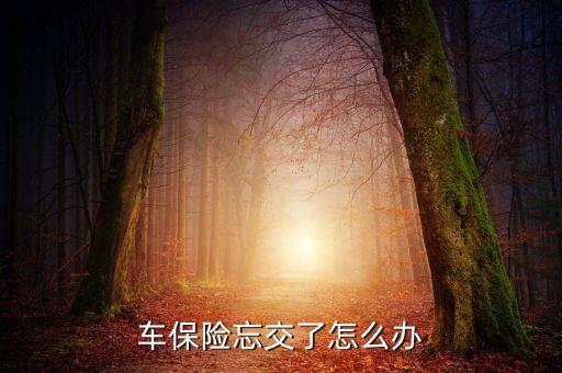 車險忘了續保怎么辦,保險到期忘買怎么辦?三招助你續保
