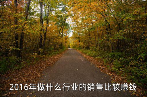 2016年做什么行業(yè)的銷售比較賺錢(qián)