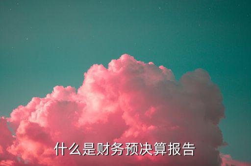 什么是財務決算報告，什么是財務預決算報告