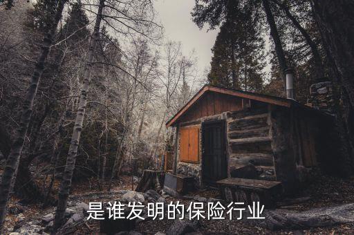 是誰發明的保險行業