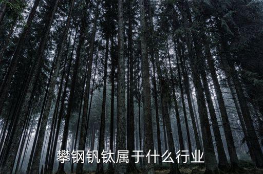 釩鈦產業屬于什么行業，攀鋼釩鈦屬于什么行業