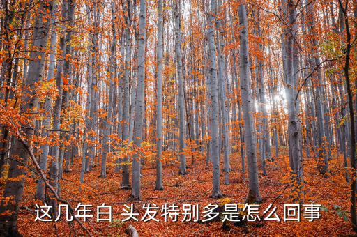 這幾年白 頭發特別多是怎么回事