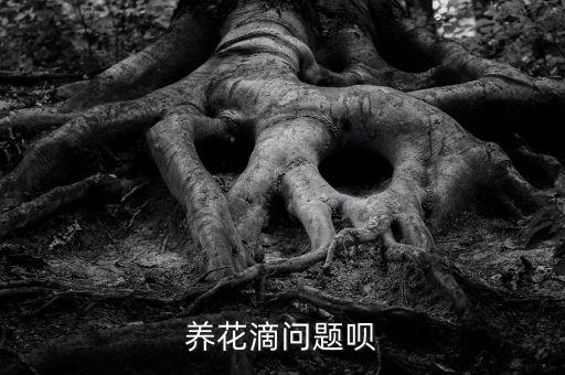 養花滴問題唄