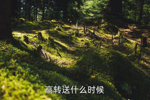 高轉送什么時候