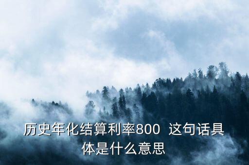 年化結算利率是什么，歷史年化結算利率800  這句話具體是什么意思
