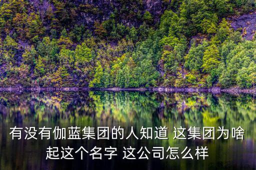 伽藍集團為什么不上市，伽藍集團是一家什么企業