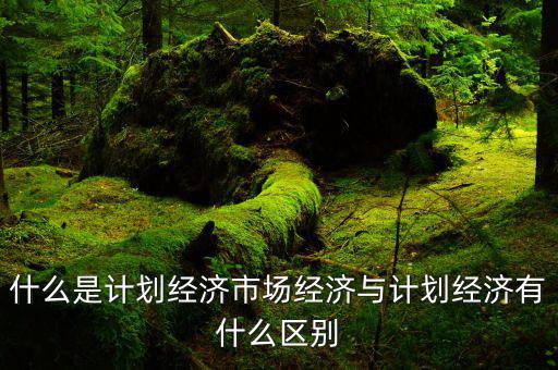 什么是市場經濟和計劃經濟，什么叫市場經濟