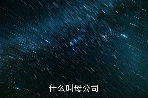 財務報告中母公司是什么意思，財務報表中的合并與母公司是什么意思