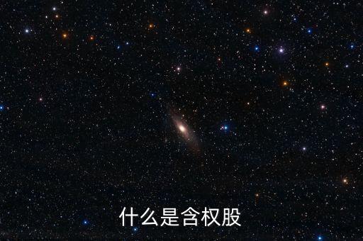 什么是含權股，請問什么叫含權的股票