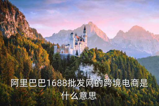 阿里巴巴1688批發網的跨境電商是什么意思
