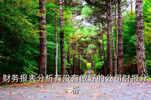 初學(xué)者財(cái)務(wù)分析分析什么公司，投資公司財(cái)務(wù)分析范文