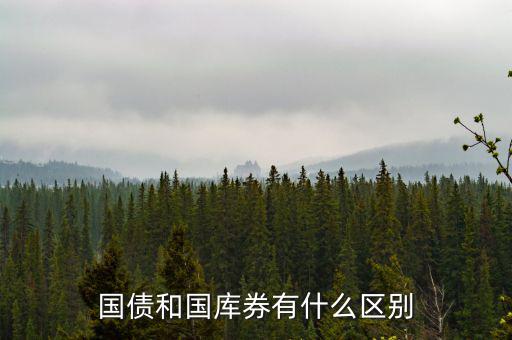 國債和國庫券有什么區別