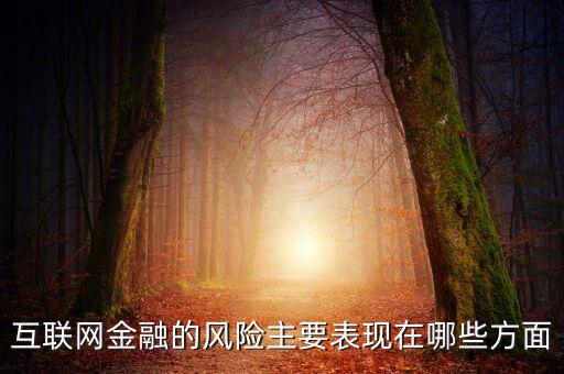 互聯網金融的風險主要表現在哪些方面