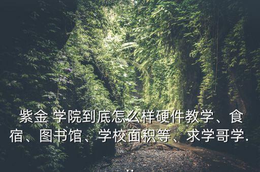 紫金學院金融會計怎么樣,香港理工學院發生槍擊案導致一人受傷
