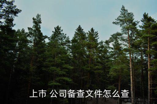 上市公司怎么查詢,美國95%企業上市-2/查詢方法