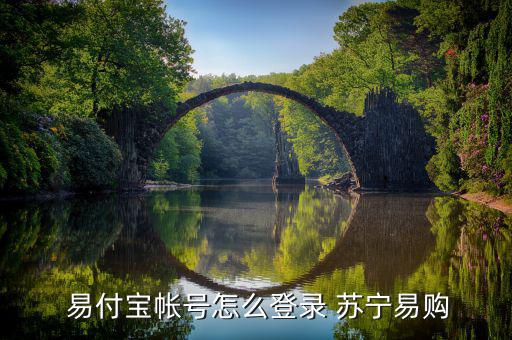 蘇寧手機易付寶怎么激活,如何買理財產品?