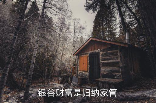 國家對銀谷財富是什么整策，銀谷財富是歸納家管