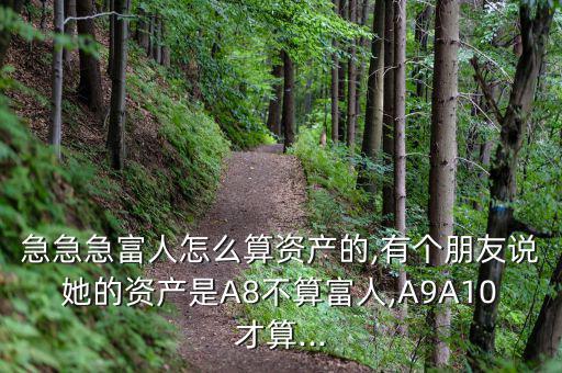 急急急富人怎么算資產的,有個朋友說她的資產是A8不算富人,A9A10才算...