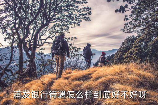 上海浦發銀行怎么樣,浦發銀行網點少限制其發展名不符實