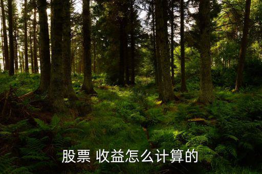 證券的收益怎么算,股票收益是否符合理財規則