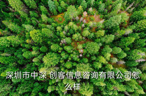 深圳市中深 創客信息咨詢有限公司怎么樣