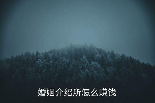相親網站怎么盈利,佳緣相親網提供全球單身人士婚戀服務