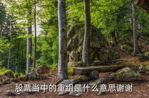 什么是重組，重組在電腦術(shù)語中什么意思