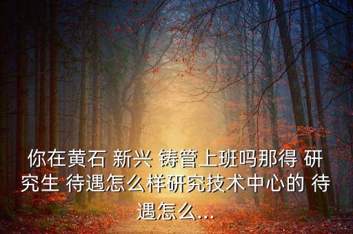 你在黃石 新興 鑄管上班嗎那得 研究生 待遇怎么樣研究技術中心的 待遇怎么...