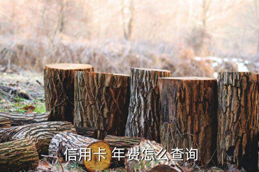 怎么看信用卡年費,興業銀行白金信用卡消費滿六次可免單年費