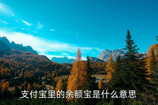 支付寶余額寶是什么，支付寶里的余額寶是什么意思