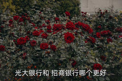 招商銀行實力怎么樣,招商銀行北京分行升級優惠存款人士