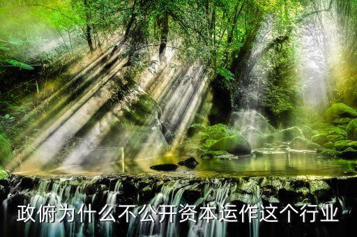 政俯為什么不公開資本運作這個行業