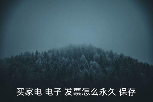 買家電 電子 發票怎么永久 保存
