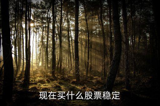 買什么股票比較穩妥，現在買什么股票穩定