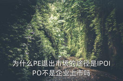 為什么PE退出市場的途徑是IPOIPO不是企業上市嗎