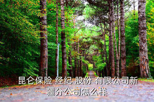 昆侖保險經紀股份有限公司怎么樣