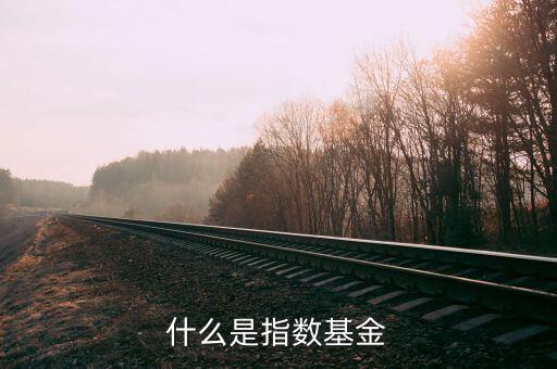 什么是指數基金，什么是指數基金